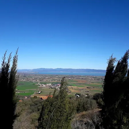 Il Vecchio Frantoio N.2